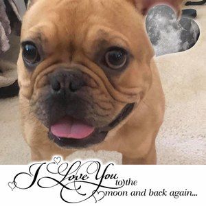 Meet your Posher, Bev